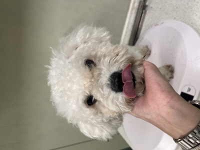 사단법인 동부_426340202500666